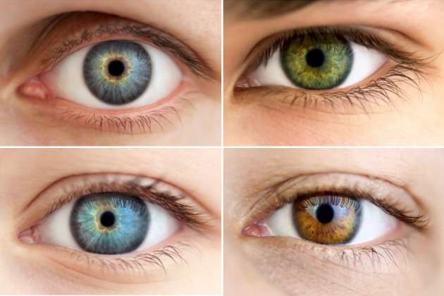 warna mata manusia